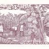 5 Shillings of Soomaaliya (AD 1987) with Cape Buffalo herd/Banana plantation UNC Grade Rare - Image 2