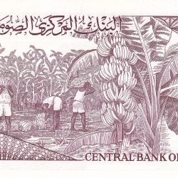 Alternative view of 5 Shillings of Soomaaliya (AD 1987) with Cape Buffalo herd/Banana plantation UNC Grade Rare