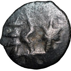 Copper-Alloy 1/8 Karshapana of Agni Mitra(2nd Cen. BC) of Panchalas of Ahichhatra - Rare
