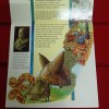 Ex Rare United Kingdom Brilliant Uncirculated Coin Collection 1997 Year Proof Coin Set Issued By Royal Mint - Image 7