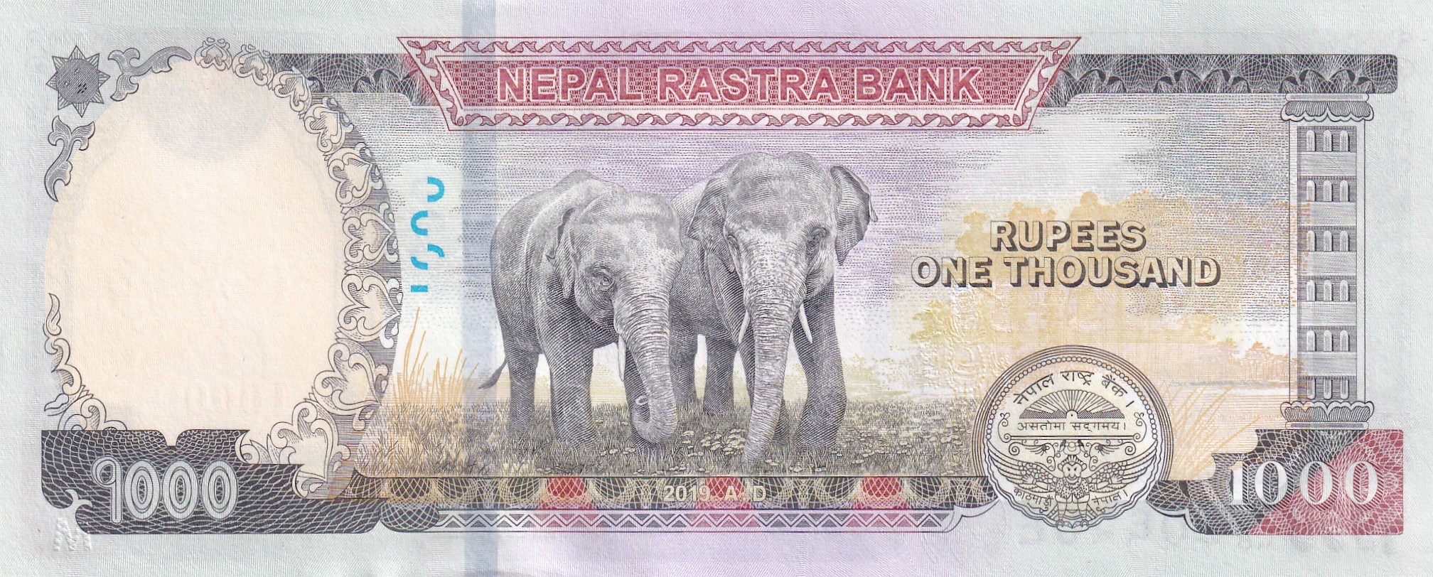 Nepal 1000 Rupees Rare Unc Note - Image 2