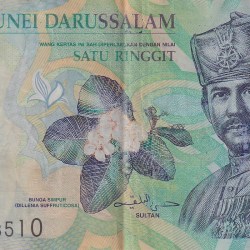 Brunei 1 Ringgit Rare Note #B2
