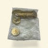 Rs 10 Republic India OMS And denomination Error AKAM 2024 Kolkata Issue Inside Seal Pouch Unique and Rare - Image 2