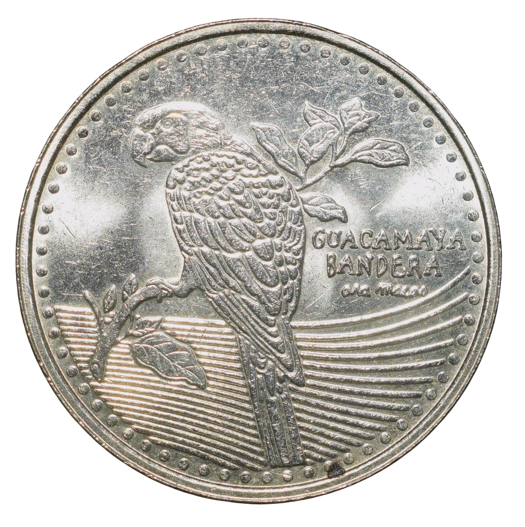 Nickel-Brass 200 Pesos of Colombia (AD 2025) with Scarlet macaw (Ara macao) on a tree branch