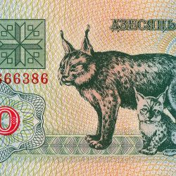 Belarus 10 Rublei Banknote 2000 P25b UNC Unique and Rare