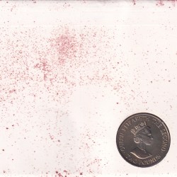 Alternative view of Jersey 2 Pounds 1993 - Elizabeth II Coronation Jubilee Rare Coin ( First Day Cover with Stamp )